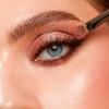 EVAGARDEN Diva Make Up Set - Make up Kit with StayLong Mascara, Glitter Show Eye Shadow 252- Eye Makeup Kit - Black Mascara - Glitter Eyeshadow - 2 Pc view 3