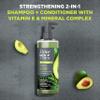 Dove Men+Care 2-in-1 Shampoo + Conditioner Avocado & Tea Tree Oil for Strengthening Hair, with Vitamin E & Mineral Complex, 17.5 oz view 3
