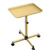 Salon Tray Cart, Salon Rolling Tray Adjustable Height, Tattoo Tray, SPA Rolling Trolley Tray for Beauty Hairstylist Dental Clinic,Champagne Gold view 1