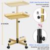 Salon Tray Cart, Salon Rolling Tray Adjustable Height, Tattoo Tray, SPA Rolling Trolley Tray for Beauty Hairstylist Dental Clinic,Champagne Gold view 4