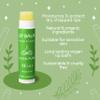 ALIDA PURE Mint Lip Balm Collection, Vegan Set, Beeswax Free, with Organic Jojoba and Avocado Oil, Vitamin E, Natural Moisturizer for Dry, Chapped Lips, 3 Tube Set view 2