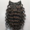 100% Unprocessed Indian Remy Human Hair Clip-in Extensions, Real Human Hair Black Color, Natural Curly Hair Clip in Hair Extensions, 100 grams to 110 grams (12 Inches) view 1