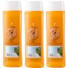 Prell Witch Hazel Color Safe Refreshes & Hydrates 2-in-1 Shampoo + Conditioner for Dry, Damaged Hair, 13.5 fl.oz, 3 Pack view 1