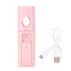 Pilipane Atomization Sprayer, Facial Mist Sprayer, Facial, Handy Nano Cool Mist Atomization Sprayer for Skin Hydration view 1