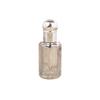 NinthAvenue Basics Vintage Perfume Dropper Bottles Portable Empty Refillable Perfume Bottle Travel Essential Oils Bottles for Perfume Essential Oil Liquids(6ml,silver), AMXE10D45ZUS view 1