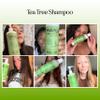 Maple Holistics Tea Tree Oil Shampoo Sulfate Free - Deep Cleansing Vegan Tea Tree Shampoo for Oily Hair and Scalp - Daily for Build up with Rosemary Essential Oil for All Hair Types 25 Fl Oz view 2