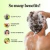 Maple Holistics Tea Tree Oil Shampoo Sulfate Free - Deep Cleansing Vegan Tea Tree Shampoo for Oily Hair and Scalp - Daily for Build up with Rosemary Essential Oil for All Hair Types 25 Fl Oz view 3