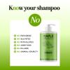 Maple Holistics Tea Tree Oil Shampoo Sulfate Free - Deep Cleansing Vegan Tea Tree Shampoo for Oily Hair and Scalp - Daily for Build up with Rosemary Essential Oil for All Hair Types 25 Fl Oz view 4