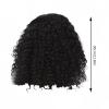 Curly Hair Wig Glueless Lace Front Short Curly Bob Wigs Human Hair for Women view 4