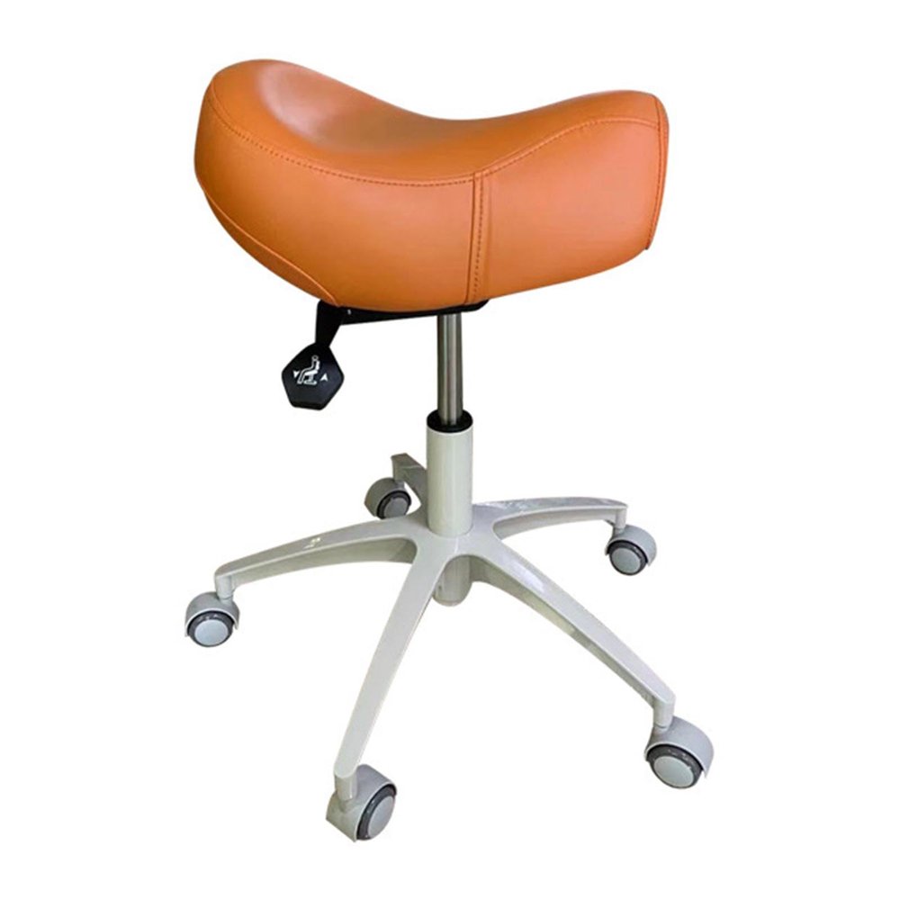 SFKLYU Saddle Stool Ergonomic Saddle Chair Dentist Chair Esthetician Chair Swivel Salon Wheels Stool for Beauty, Hair, Massage Salon, Lab, Clinic, Home Office Chair,P21