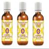 Deve Herbes Pure Boswellia Sacra (Frankincense) Essential Oil (Boswellia Sacra) Steam Distilled 100ml X 3 (10 oz) view 1