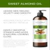 velona Sweet Almond Oil - 16 Fl Oz | 100% Pure and Natural Carrier Oil |Cold Pressed | Skin, Hair, Body & Face Moisturizing | Use Today - Enjoy Results view 2
