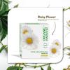 SENTA Pearl Brightening Facial Kit: Daisy Flower For Glowing Skin | Anti-Aging Facial Kit for Men & Women | Sulphate & Parabens Free | 100% Certified Organic  40gm view 2