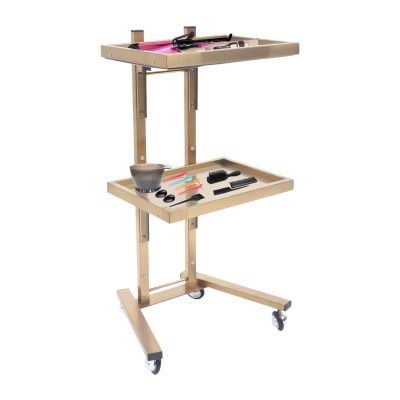 2-Tier Metal Salon Rolling Cart with Wheels, Foldable Stainless Steel Rolling Storage Cart Trolley Tray Utility Esthetician Carts for Beauty Spa Home Kitchen
