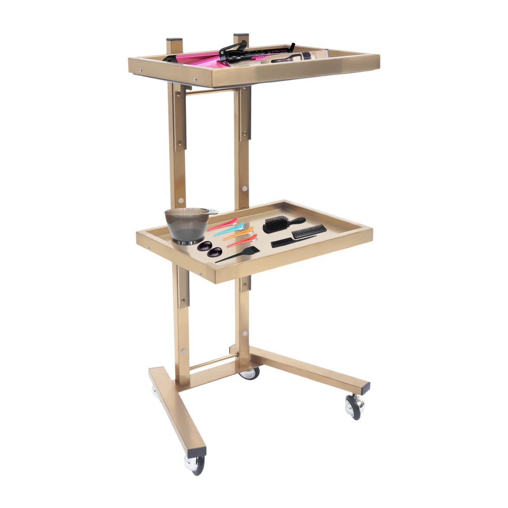 2-Tier Metal Salon Rolling Cart with Wheels, Foldable Stainless Steel Rolling Storage Cart Trolley Tray Utility Esthetician Carts for Beauty Spa Home Kitchen