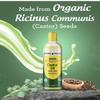 4 TOP CARE Cold-Pressed Castor Oil - Unrefined & Hexane-Free, Organic - For Hair and Skin - 8 fl oz view 3