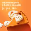 Dove Limited Edition Holiday Treats Body Wash Cinnamon Pumpkin Pie for Deep Nourishment 20 oz view 4