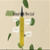 Hair Oil Infused With Olive Leaf|Lightweight Oils-Grapessed & Jojoba Oils Soothes Dry Scalp & Dandruff, 4 Oz. view 2