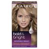 Clairol Bold & Bright Permanent Hair Dye, 71 Dark Ash Blonde | Pack of 1 view 1