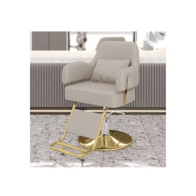 PAOOPA Hairdressing Chair, Hydraulic Barber Chair Salon Equipment, Round Base with Footrest Thickened Comfortable Foam Cushion, 360 Swivel, Heavy Duty Styling Chair, Light Grey