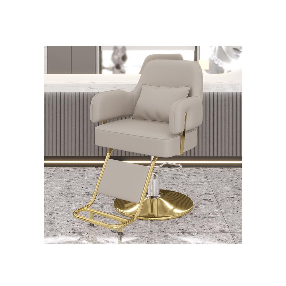 PAOOPA Hairdressing Chair, Hydraulic Barber Chair Salon Equipment, Round Base with Footrest Thickened Comfortable Foam Cushion, 360 Swivel, Heavy Duty Styling Chair, Light Grey