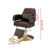 PAOOPA Hairdressing Chair, Hydraulic Barber Chair Salon Equipment, Round Base with Footrest Thickened Comfortable Foam Cushion, 360 Swivel, Heavy Duty Styling Chair, Light Grey view 2