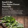 Alpine Provisions Natural & Organic Body Wash with Rosemary & Mint  Moisturizing Body Wash with Aloe Vera, Coconut Oil & Essential Oils  Vegan, Sulfate-Free, Plastic-Free  16.9 fl oz view 3