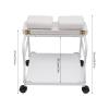 Beauty Salon Nail or Foot Bath Spa Portable Esthetician Trolley Cart Foot Rest with Wheels Foot Massage Station Rolling Cart for Beauty Salon, Medical Clinics, Hair Salons and Home Bathrooms, White view 3
