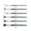 EVRCHGIEA Natural Goat Hair Eye Makeup Brush Set, 6 Pcs Professional Blending Eyeshadow Makeup Brushes for Concealer Eyebrows Eyeliner, Soft Hairs & Wood Handle (blue 6pcs) view 4