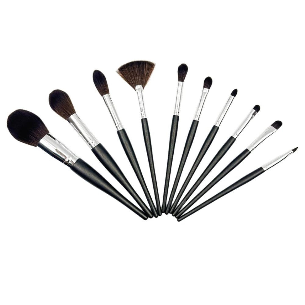 10 Pieces Professional Makeup Brushes Premium Synthetic Blush Eyeshadow Concealer High Gloss Brush Blending Eyeliner Makeup Brush Set