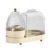 AYKHDS 2023 New Makeup Brush Holder with Cover, Clear Makeup Holder with Lid, 360-degree Rotating Desktop Stationary Display Holder, Cosmetics Makeup Brush Organizer Storage view 1