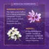 Ayuga Kashmiri Saffron Moisturizing Face Cream with SPF 25 | Ayurvedic Moisturizer with Jasmine | Lightweight Hydrating Sun Protection | Nourishing & Soothing | 1.76 Oz (50g) view 3