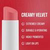 ADEN Velvet lipstick  Highly Pigmented  Durable & Hydrating  Creamy & Smooth (07 Sour Cherry) view 2