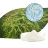 99% Spongilla Spicule Freshwater Hydrolyzed Sponge Skin Conditioning White view 3