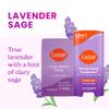 Lume Whole Body Deodorant And Soap - 2.6 Ounce Smooth Solid Stick With 72 Hour Odor Control (Pack of 2) and 5 Ounce Triple Milled Soap (Pack of 2) - Aluminum and Baking Soda Free (Lavender Sage) view 3