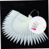 FRCOLOR 50pcs Fan Shaped Nail Display Cards for Nail Art Practice Natural Color Practice Sticks for Engraving and Painting Easy to Organize and Carry for Beginners and Professionals view 3