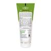 Sunny Moisturizing Lotion With Aloevera & Calendula Extracts | Makes Skin Velvety and Radiant Soft | Fights Against Pigmentation & Other Aging Sign | Sun Burn Protection | For all skin types 100ml view 2