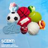 Bath Bombs for Boys W/Educational Flash Cards - Bathbombs with Toys Inside - 2.5 oz Gift Set of 6 Scented Organic Handmade with Natural Essential Oils - Sports Surprise Inside by Zenseme view 4