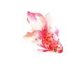 Tattoo Stickers Temporary Tattoos Fake Tattoo Waterproof Personalized Female Sexy Long-Lasting Cute Arm Goldfish Color view 2