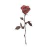 2 Pieces Of Tattoo Stickers Temporary Tattoos Fake Tattoo On The Chest, Beautiful And Sexy Roses, Retro Women, Waterproof And Long-Lasting view 1