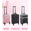 FLYIFE Cosmetic Suitcase Travel Large-Capacity Cosmetic Storage Storage Toolbox Roller Beauty Barber Trolley Case/Argento/37X24X52Cm view 3