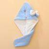 Dry Hair hat Women's Thickened Super Absorbent Double Bow Cute Coral Velvet Wipe Hair Dry Hair Bag Headscarf Wholesale view 1