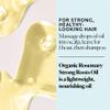 Sky Organics - Organic Rosemary Oil with Strong Roots - Hair Growth Serum with Macadamia, Jojoba & Essential Oils for Scalp - Natural Beauty and Hair Care - 2 fl oz view 3