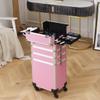 4-in-1 Makeup Rolling Train Case,Pull Rod Style Aluminum Rolling Makeup Case,Removable Layers,Professional Cosmetic Train Suitcase Portable Artist Trolley Cosmetic Organizer with 4 Wheels and Locks view 2