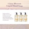 A LA MAISON French Liquid Hand Soap, Citrus Blossom - Natural Hand Wash Made with Essential Oils - Biodegradable, Plant-Based, Vegan, Cruelty-Free, Alcohol & Paraben Free (16.9 oz, 6 Pack) view 2