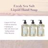 A LA MAISON French Liquid Hand Soap, Fresh Sea Salt - Natural Hand Wash Made with Essential Oils - Biodegradable, Plant-Based, Vegan, Cruelty-Free, Alcohol & Paraben Free (16.9 oz, 6 Pack) view 2