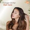 Crysalis Ginger (Zingiber Officinale) Oil - 338.14 Fl Oz (10L) view 3