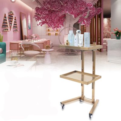 2-Tier Metal Rolling Cart, Gold Salon Instrument Trolley Rolling Stainless Steel Cart Tray w/ 4 Wheels, for Hair Stylist, Hairdresser, Beauty