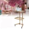 2-Tier Metal Rolling Cart, Gold Salon Instrument Trolley Rolling Stainless Steel Cart Tray w/ 4 Wheels, for Hair Stylist, Hairdresser, Beauty view 1