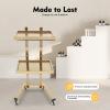 2-Tier Metal Rolling Cart, Gold Salon Instrument Trolley Rolling Stainless Steel Cart Tray w/ 4 Wheels, for Hair Stylist, Hairdresser, Beauty view 2